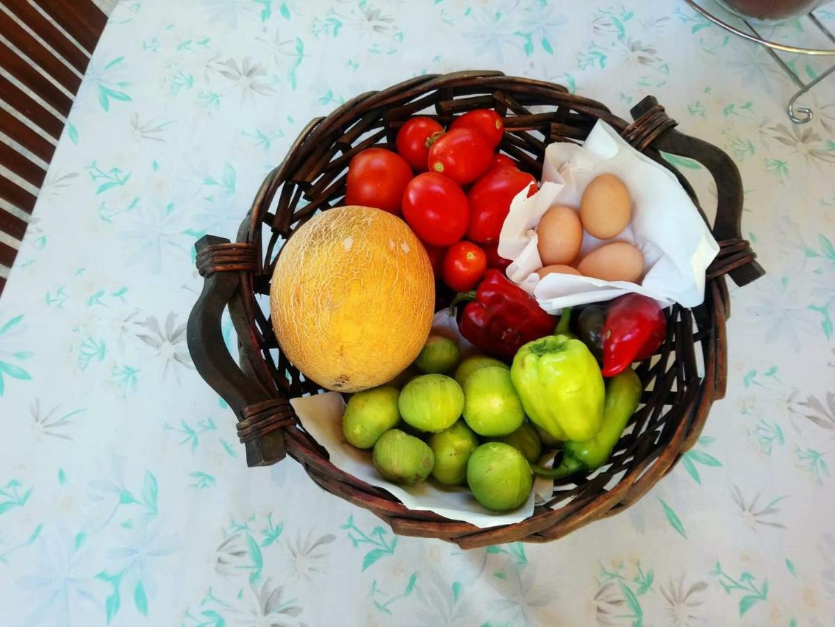 Holiday Home In Chalkidiki, Lakkoma 外观 照片