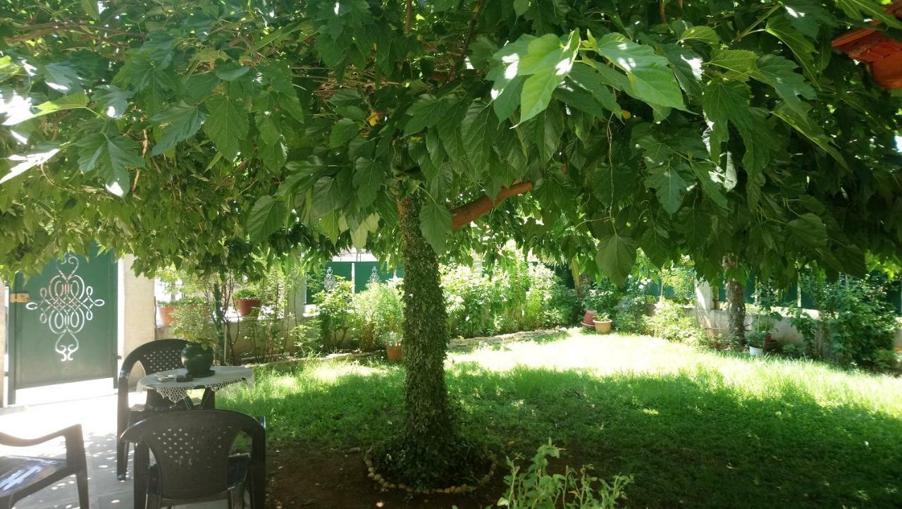 Holiday Home In Chalkidiki, Lakkoma 外观 照片